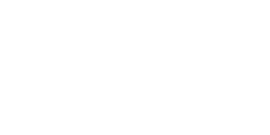 NEVO advisors FZE